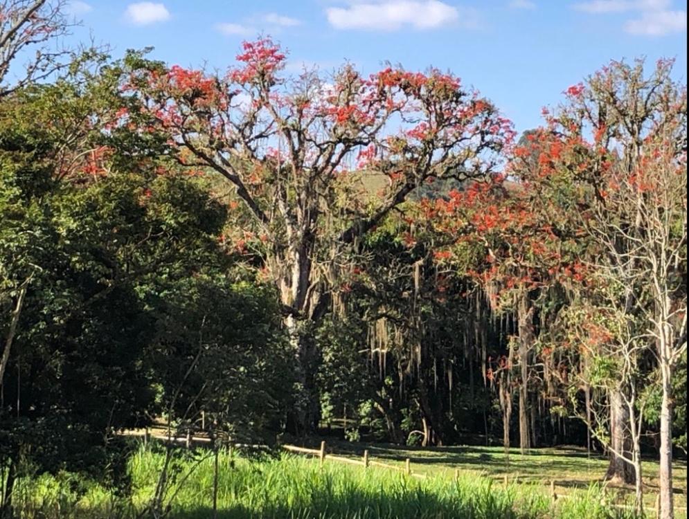 Vivenda Dos Guaranys -Um Projeto Ecologico - Casa Villa Conservatória Kültér fotó