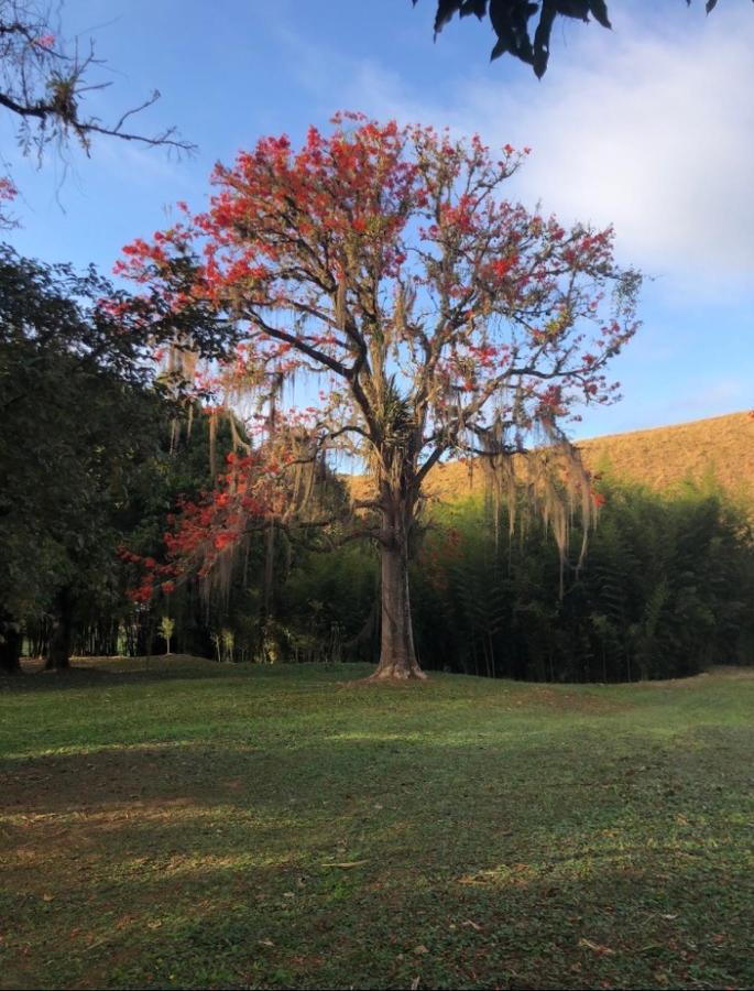 Vivenda Dos Guaranys -Um Projeto Ecologico - Casa Villa Conservatória Kültér fotó