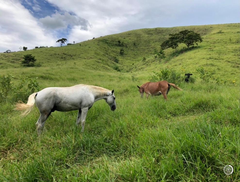 Vivenda Dos Guaranys -Um Projeto Ecologico - Casa Villa Conservatória Kültér fotó