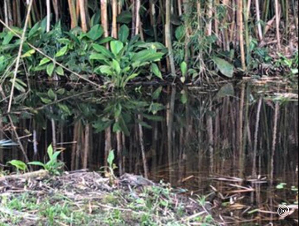 Vivenda Dos Guaranys -Um Projeto Ecologico - Casa Villa Conservatória Kültér fotó