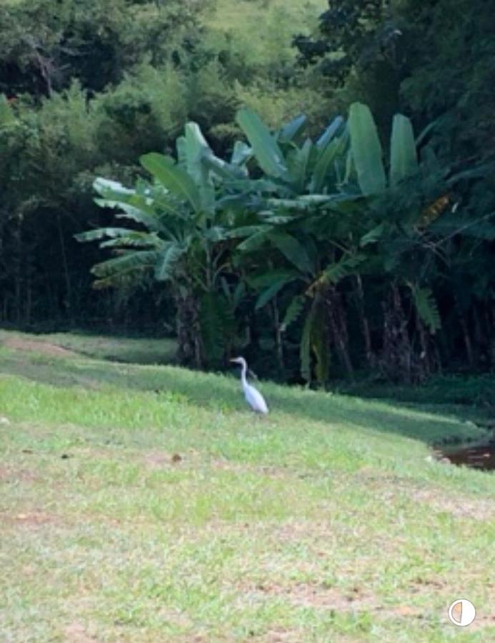 Vivenda Dos Guaranys -Um Projeto Ecologico - Casa Villa Conservatória Kültér fotó