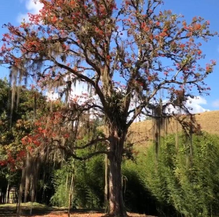 Vivenda Dos Guaranys -Um Projeto Ecologico - Casa Villa Conservatória Kültér fotó