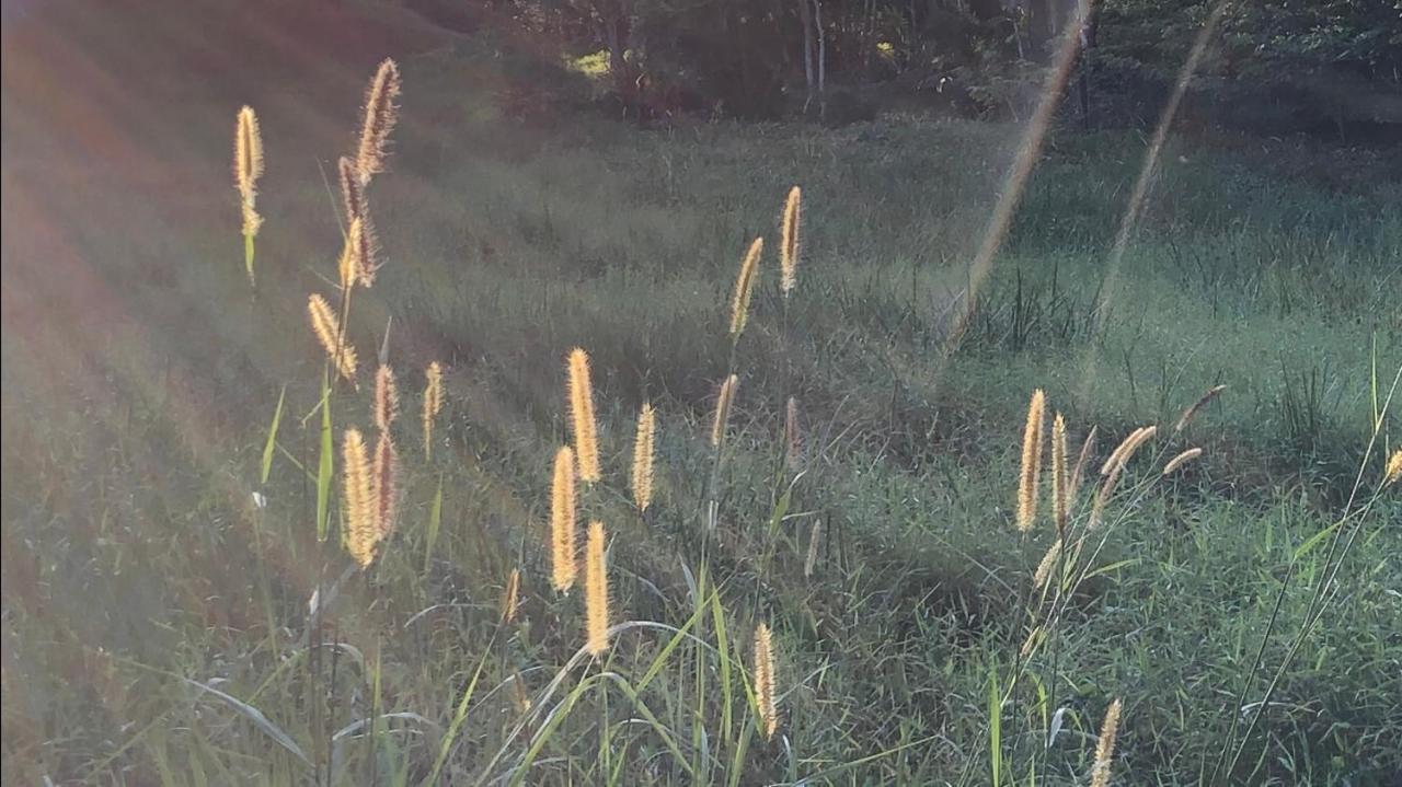 Vivenda Dos Guaranys -Um Projeto Ecologico - Casa Villa Conservatória Kültér fotó