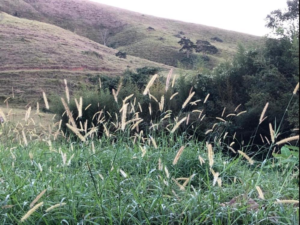 Vivenda Dos Guaranys -Um Projeto Ecologico - Casa Villa Conservatória Kültér fotó